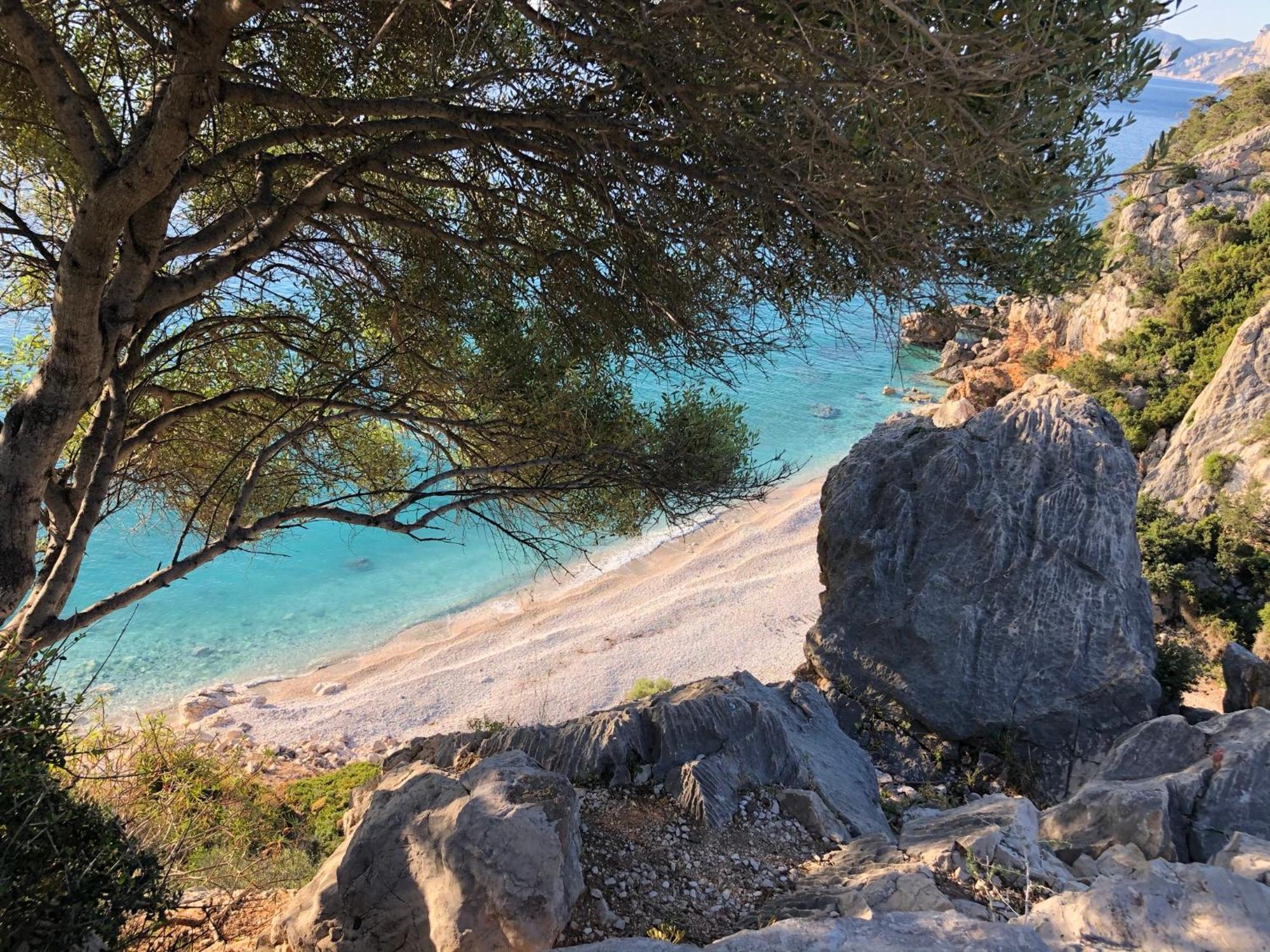 Fronte Mare Apartment Cala Gonone Ngoại thất bức ảnh